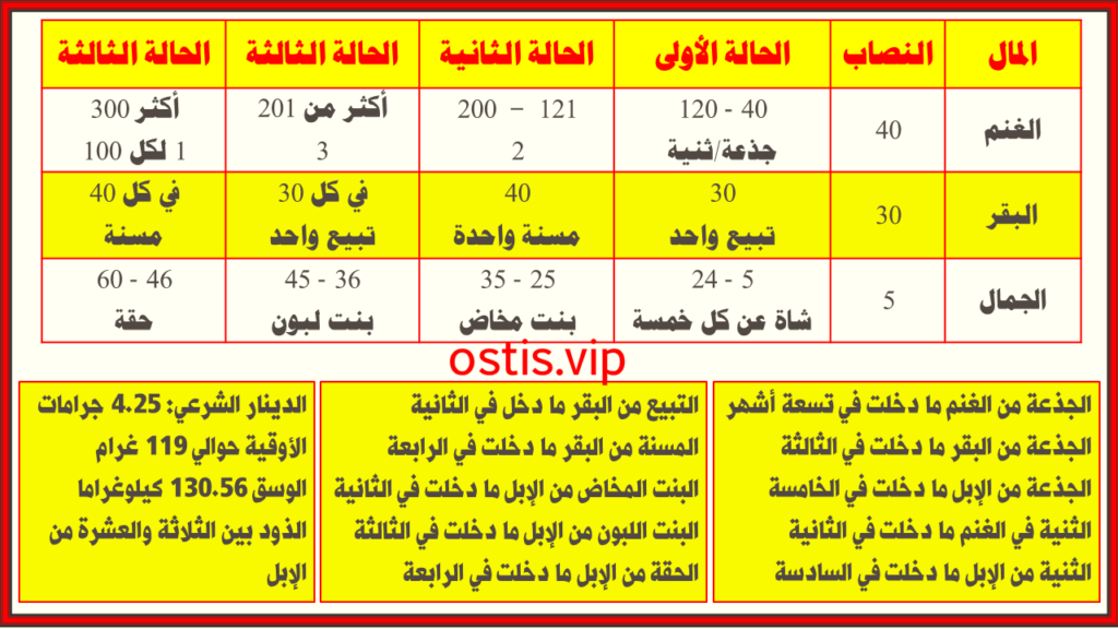 زكاة الأنعام ومصطلحات الزكاة